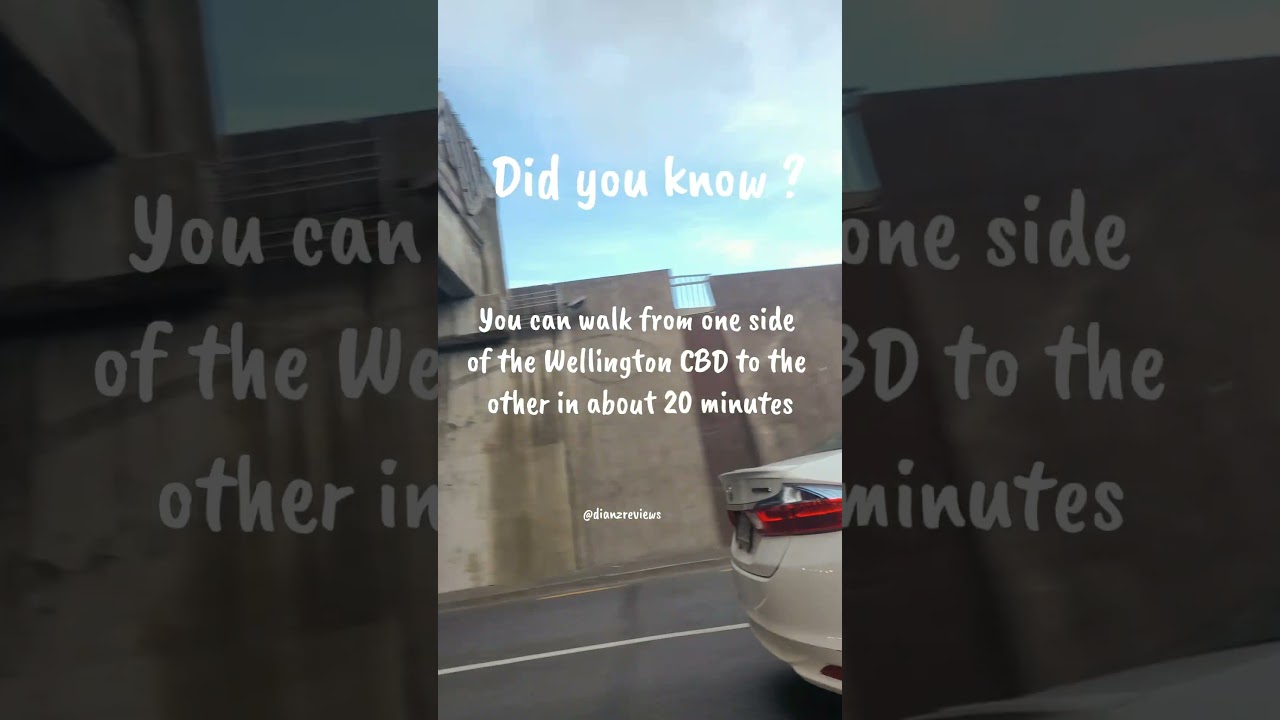 Wellington CBD Fun Fact š¶āāļøāØ