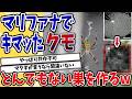 【2ch動物スレ】【衝撃】薬漬けクモの巣作りがヤバすぎる件ｗｗｗ