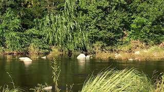 Naturaleza en la hermosa ciudad de Cosquin en la provincia de Cordoba