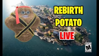 Rebirth Potato