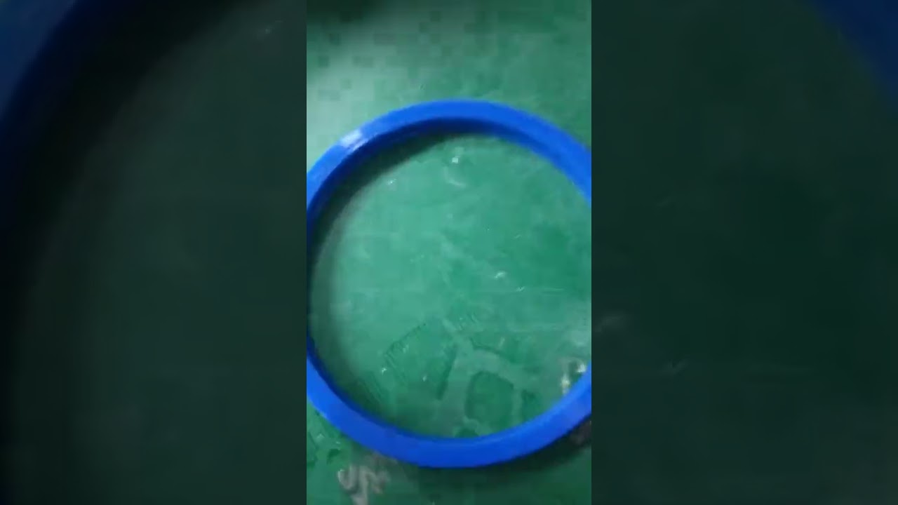 Professional Manufacture Cheap Excellent Wear and Oil Resistance Rubber Oil Seals Chinese factory