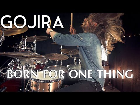 GOJIRA - Born