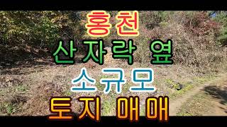 홍천 산자락 옆 소규모 토지 매매 175제곱 53평 1300만