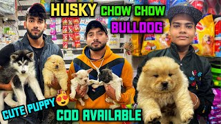 Cheapest Dogs Market In Delhi NCR || Husky Puppy || chow chow || Dog market