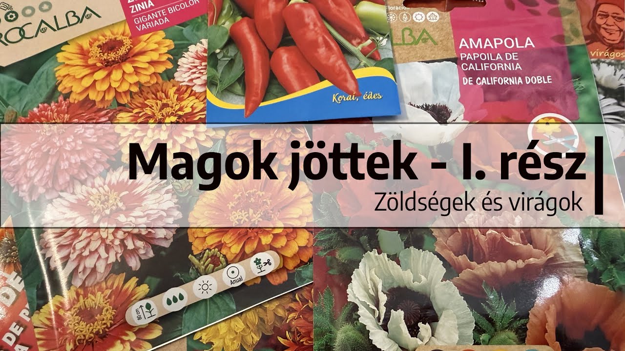 Ep. 397.: Magok jöttek - I. rész