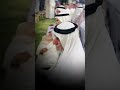 ديوان عشيرة البوحردان الشيخ هيثم تركي خلف ابو وضاح ديوان عشيرة البوحردان الشيخ هيثم تركي خلف ابو وضاح