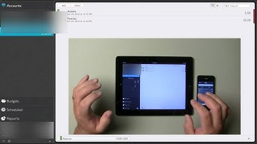 Moneywiz for iPad, iPhone, and Mac Review