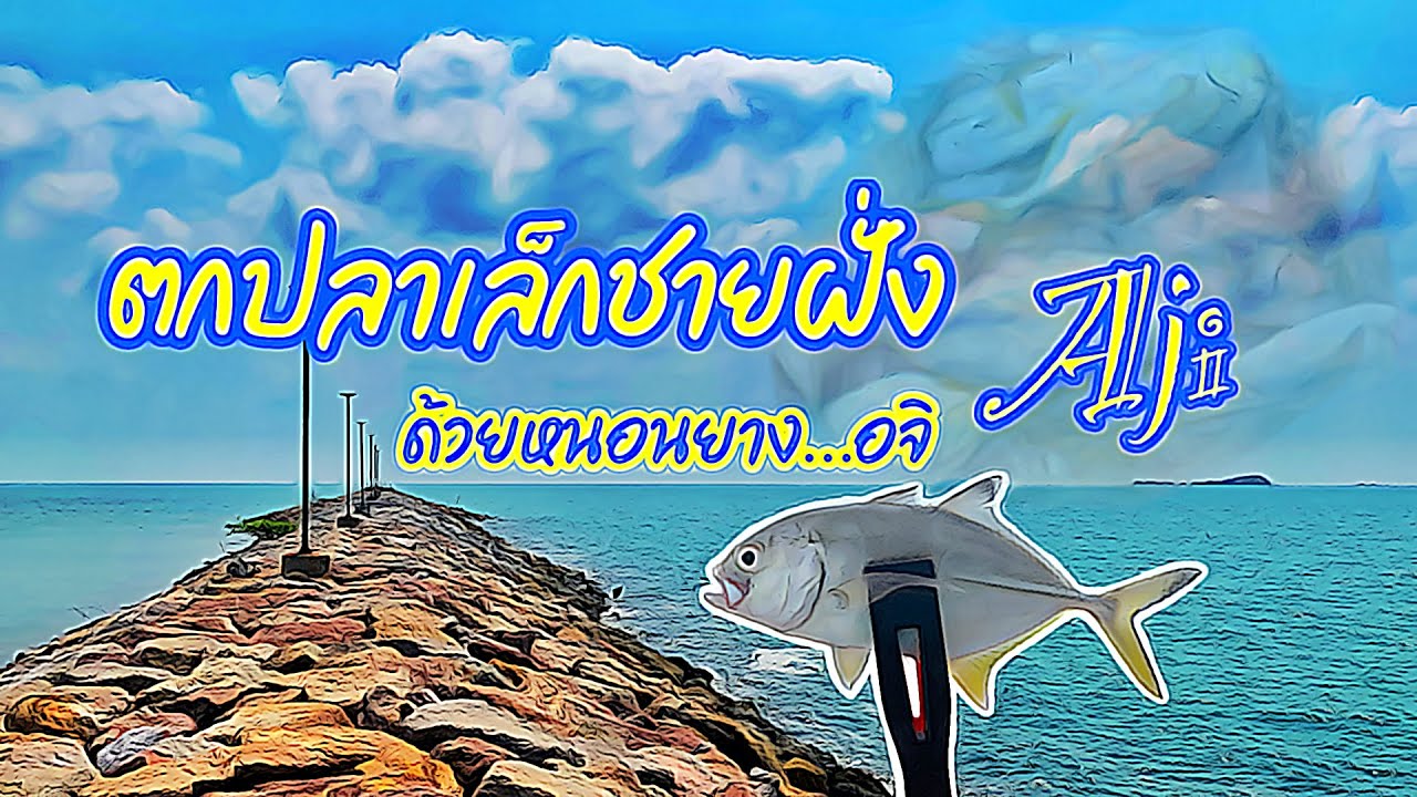 EP.06 ตกปลาเล็กด้วยเหยื่อหนอนยาง…อจิ ( Drop Shot Rig )