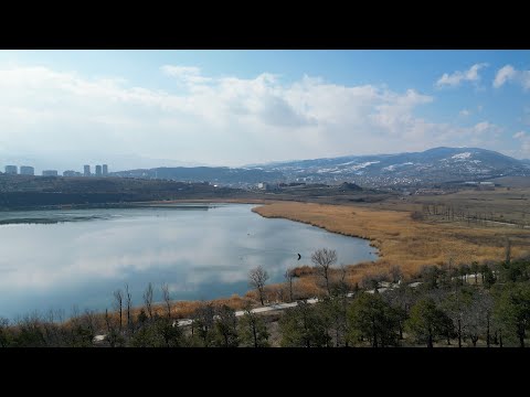 Lisi Lake / ლისის ტბა / Озеро Лиси