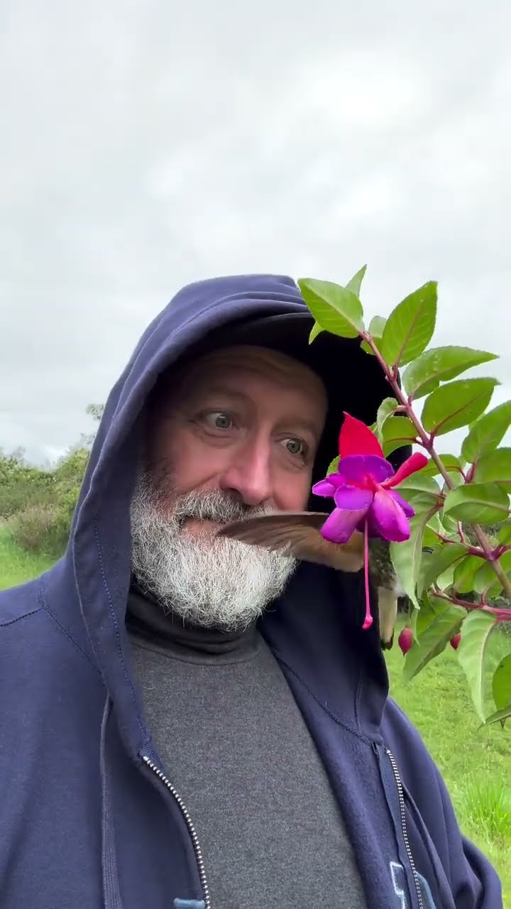 Hummingbird Dances From Man's Cap To Bloom || ViralHog