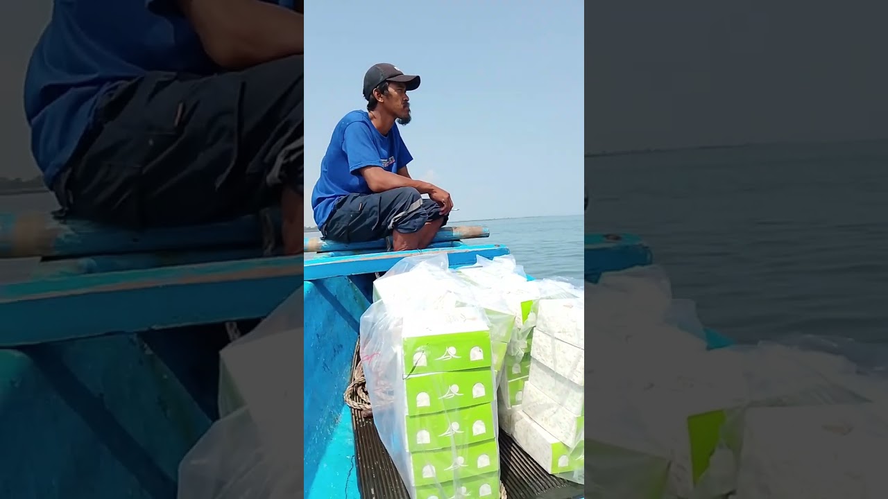 Susur Pulau Popole... #batubara #tongkang #tongkangbatubara #popole