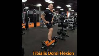 Tibialis Dorsi Flexion