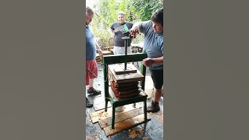 cider making Barnstaple (pilton) Day 2 part 4 2021