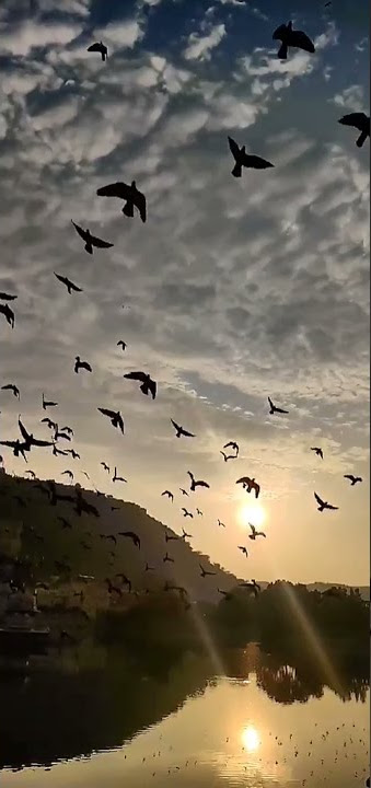 96 bgm - Nature love - Use Headphones - Full screen HD status