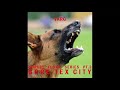 Varg - Nordic Flora Series Pt. 3: Gore​-​Tex City [NE39] (Full Album)