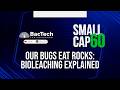 Our Bugs Eat Rocks: Bioleaching Explained