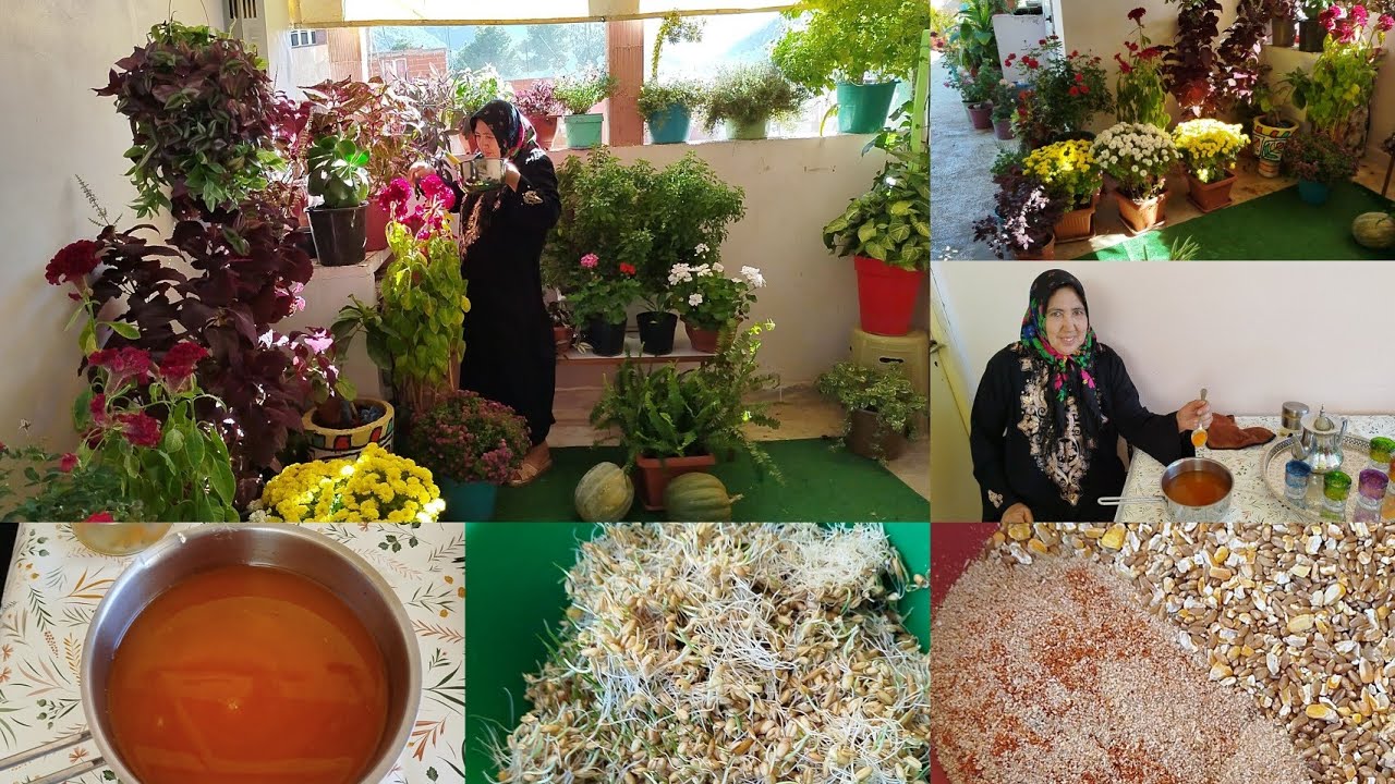 حماية النباتات بمكون واحد من عدوهم اللذود🌹 فهاد الفترة إحذاروه جاوبناكم على تساؤلاتكم