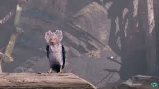 The Cute Birb in God of War Ragnarok