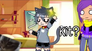 Kit?/Chipi Chapa Cat/Gacha Club/Brawl Stars/#trending /#memes /Funny Cat/FT. Kit,Shelly