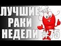 ЛРН выпуск №75. СТЕЛС РЕЖИМ и БАР ГОЛУБАЯ УСТРИЦА [Лучшие Раки Недели]