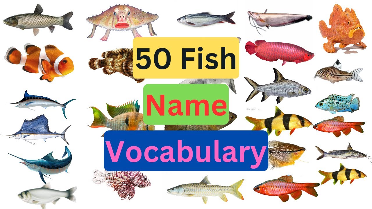 Fish name