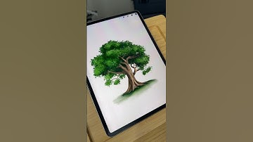 Procreate Tree Tutorial #procreatebrushes #digitalart #digitalarttutorial