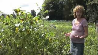 Thea Jurina Presenteert Aandachts-Tv Uitzending 1 Bezoek Dorpstuin Snakkerburen