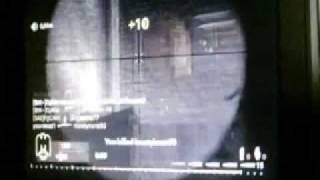 springfield cod5 montage