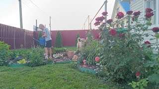 ОТПУСК МУЖА/НЕИЗВЕСТНОСТЬ/АНОМАЛЬНАЯ ЖАРА В ДЕРЕВНЕ/