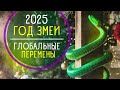 СИМВОЛ 2025 года год ЗМЕИ Как встретить и Что важно знать СИМВОЛ 2025 года год ЗМЕИ Как встретить и Что важно знать