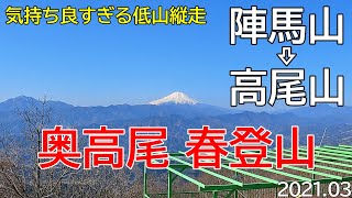 【絶景の陣馬山から高尾山】初心者おすすめソロ登山／春の縦走トレッキングコース