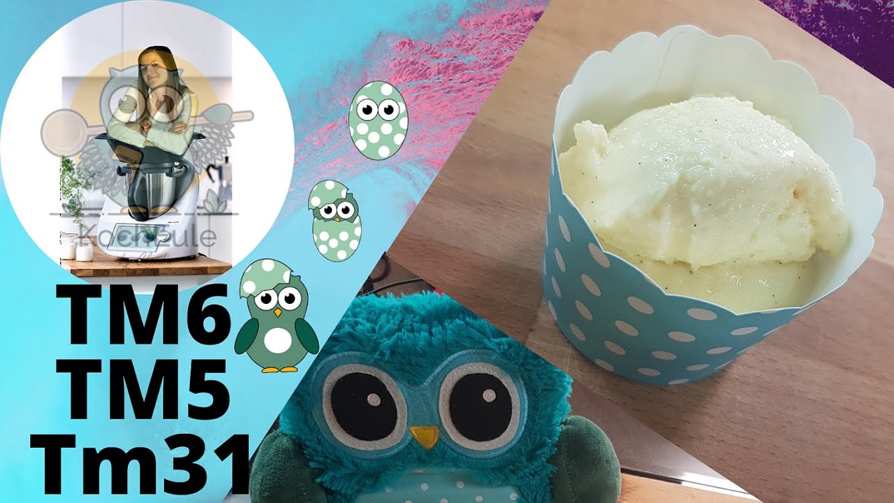 cremiges Vanilleeis | Eis selber machen ohne Eismaschine | einfach & lecker im Thermomix TM6 TM5