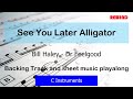 Bill Haley - Dr. Feelgood See You Later Alligator Fluit Viool Begeleidingstrack en bladmuziek