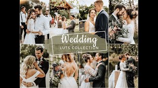 Wedding Video LUTs Vol. 02 Wedding Video LUTs Vol. 02