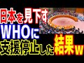 【海外の反応】スカッと！日本を見下すWHOにブチ切れした一人の日本人が快挙！WHOへの支援をストップした結果がエグイww【ニュースまみの部屋】