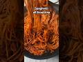 Assassin S Spaghetti Recipe In The Description Assassin S Spaghetti Recipe In The Description
