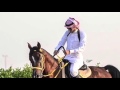 سليم العريقه