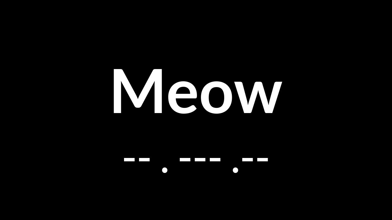 Meow in Morse Code - YouTube