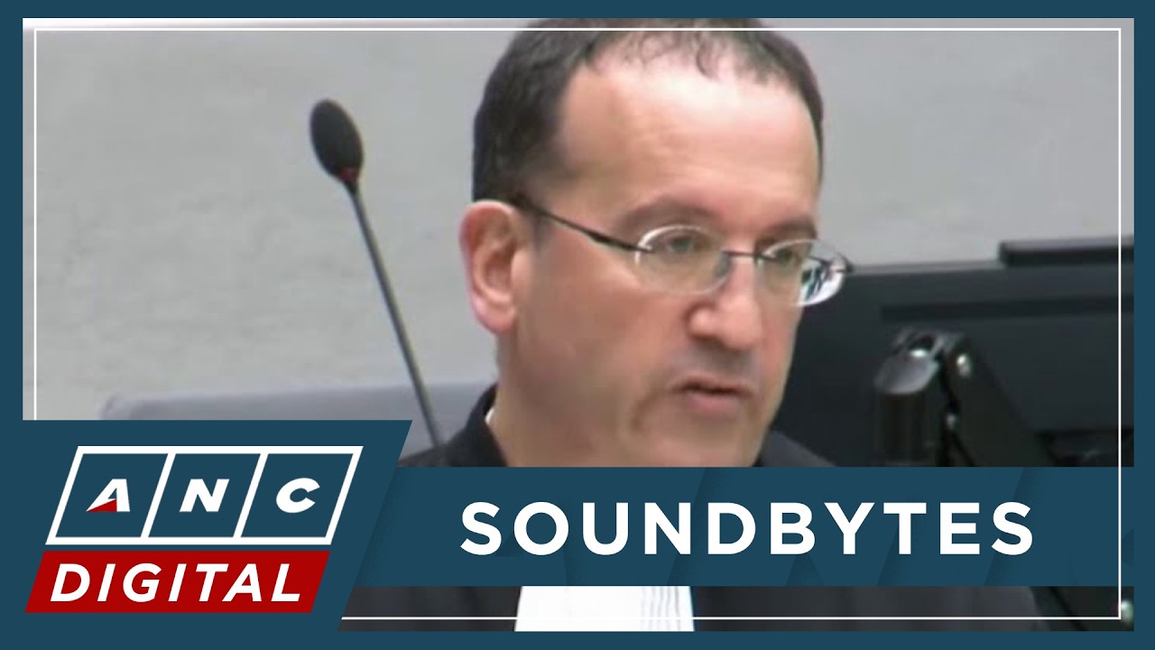 'Prosecution at a loss': Kaufman on proving 'common criminal plan' | ANC