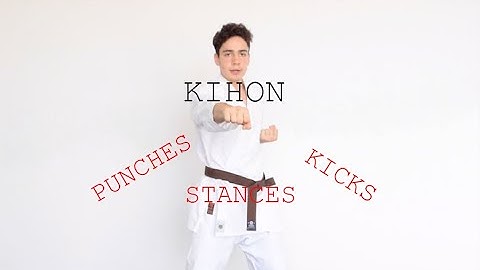 Lesson 2 : Kyokushin Karate Kihon (follow along)