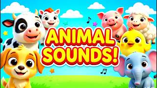 Learn Animal Names &amp; Sounds for Toddlers | Real Animals Video | Fun Nursery Rhymes