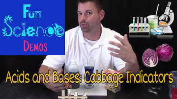 Acids and Bases: Cabbage Indicator