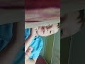 29 червня 2025 р.