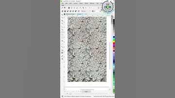 Image Manipulation in Coreldraw #shorts