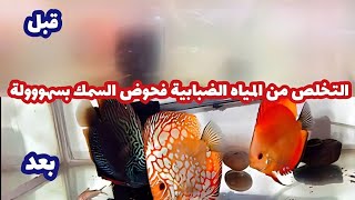 التخلص من ضبابية مياه حوض سمك الزينه بسهولة