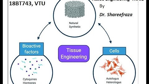 Tissue Engineering, Module 1, Tissue TRAID