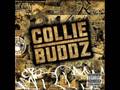 Collie Buddz ft. Paul Wall - What a feeling