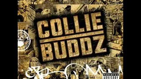 Collie Buddz ft. Paul Wall - What a feeling