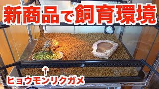 GEX新商品の床材を使ってヒョウモンリクガメの飼育環境をセッティング