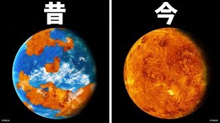 金星にはかつて生命が存在？！